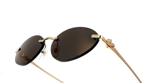Cartier - Sonnenbrillen - CT0504S - 001 - 58