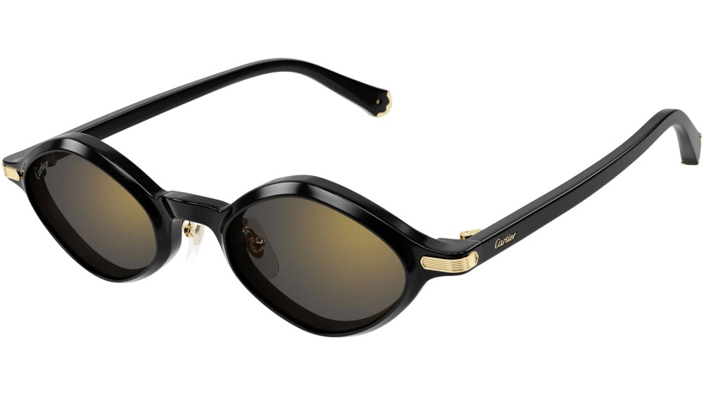 Cartier - Sonnenbrillen - CT0540S - 001 - 48