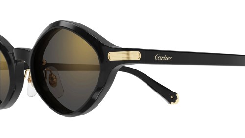 Cartier - Sonnenbrillen - CT0540S - 001 - 48