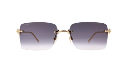 Cartier - Sonnenbrillen - CT0545S - 001 - 58