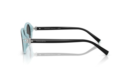 Tiffany & Co. - Sonnenbrillen - TF4242D - 8055S4 - 54