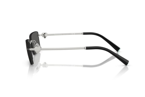 Tiffany & Co. - Sonnenbrillen - TF3108B - 6001S4 - 60