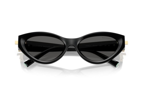 Tiffany & Co. - Sonnenbrillen - TF4225U - 8001S4 - 54