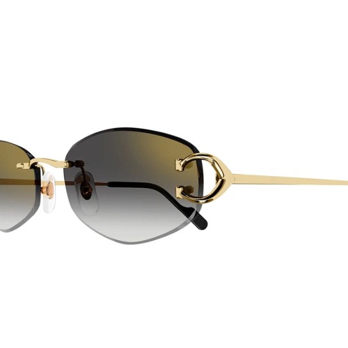 Cartier - Sonnenbrillen - CT0467S - 001 - 57