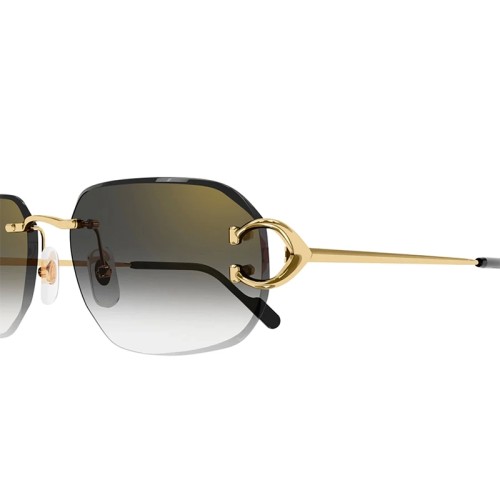 Cartier - Sonnenbrillen - CT0468S - 001 - 58