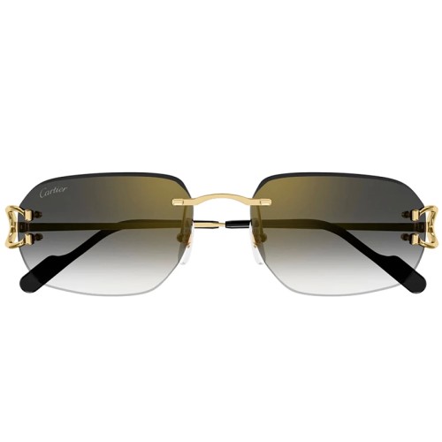 Cartier - Sonnenbrillen - CT0468S - 001 - 58