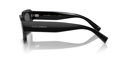Dolce&Gabbana - Sonnenbrillen - DG4460 - ​501/87 - ​56
