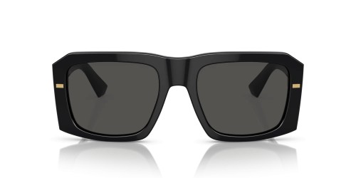 Dolce&Gabbana - Sonnenbrillen - DG4430 - ​501/87 - ​54