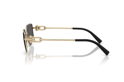 Tiffany & Co. - Sonnenbrillen - TF3111 - 6021S4 - 58