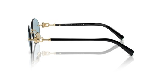 Tiffany & Co. - Sonnenbrillen - TF3104D - 602180 - 56