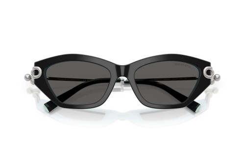 Tiffany & Co. - Sonnenbrillen - TF4231U - 8055S4 - 53