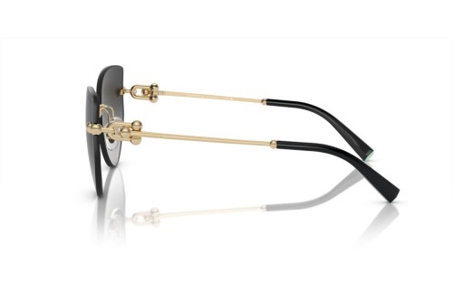 Tiffany & Co. - Sonnenbrillen - TF3096 - 60213C - 60