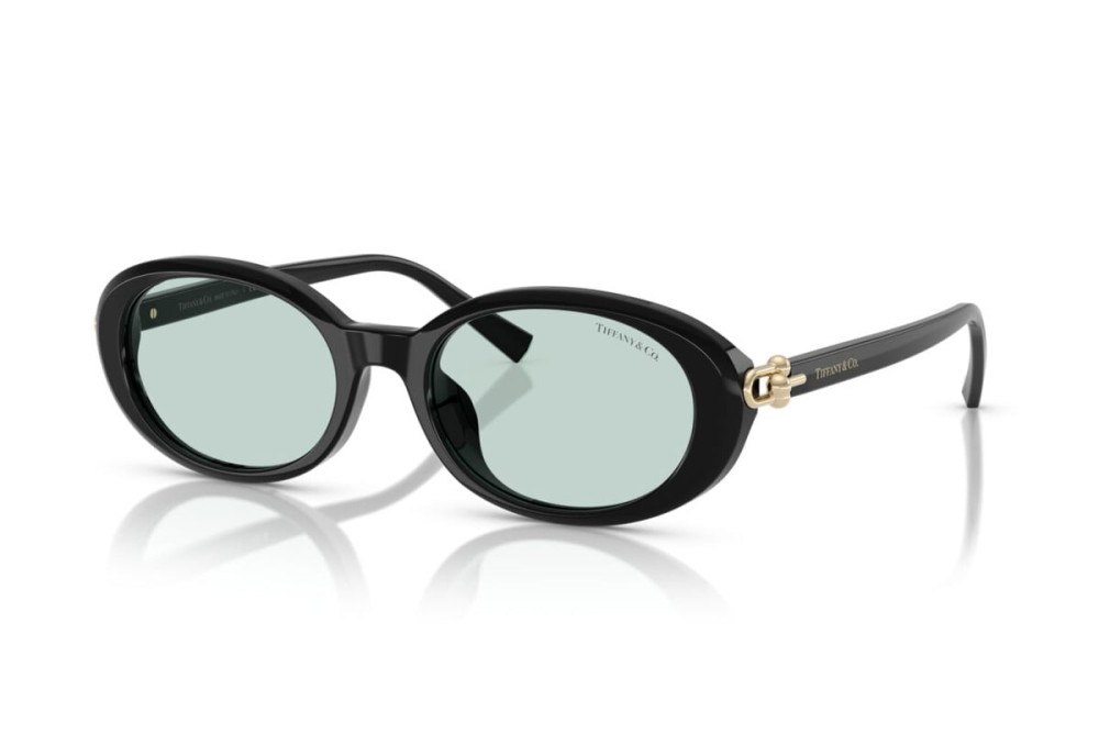 Tiffany & Co. - Sonnenbrillen - TF4242D - 8001D9 - 54