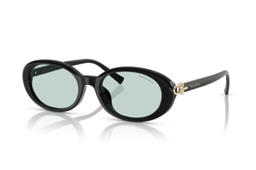 Tiffany & Co. - Sonnenbrillen - TF4242D - 8001D9 - 54