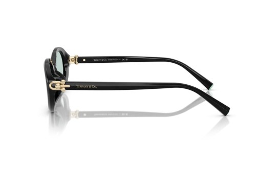Tiffany & Co. - Sonnenbrillen - TF4242D - 8001D9 - 54