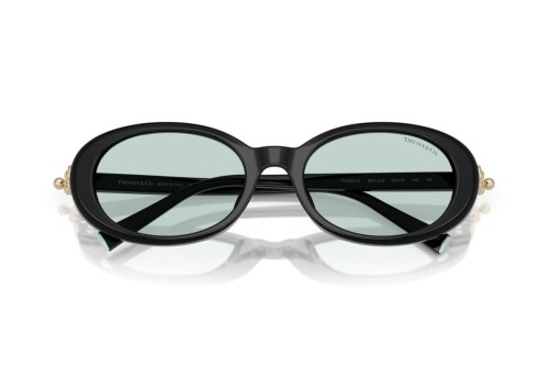 Tiffany & Co. - Sonnenbrillen - TF4242D - 8001D9 - 54