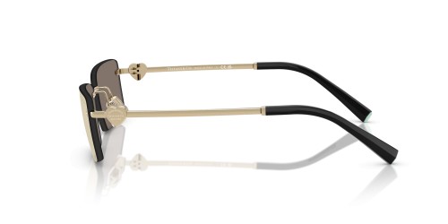 Tiffany & Co. - Sonnenbrillen - TF3108B - 60215A - 60