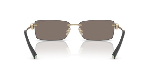 Tiffany & Co. - Sonnenbrillen - TF3108B - 60215A - 60