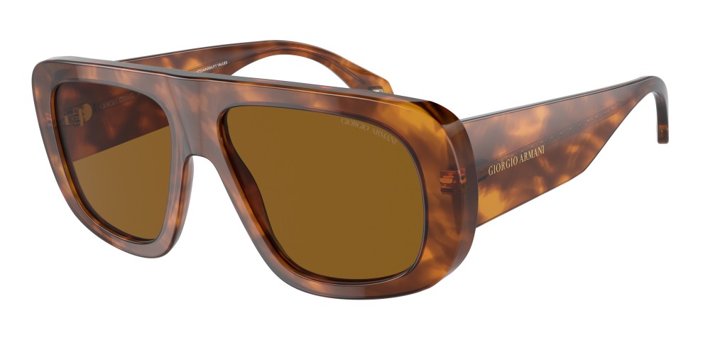 Giorgio Armani - Sonnenbrillen - AR8183 - 5988/33 - 56