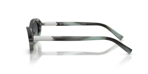 TIFFANY & CO. - Napszemüvegek - TF4250 - 84432G - 56