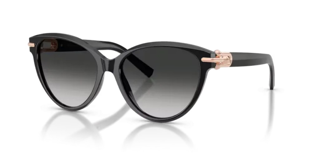 TIFFANY & CO. - Sonnenbrillen - TF4261 - 80013C - 56