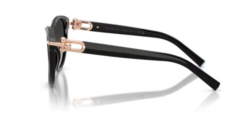 TIFFANY & CO. - Sonnenbrillen - TF4261 - 80013C - 56