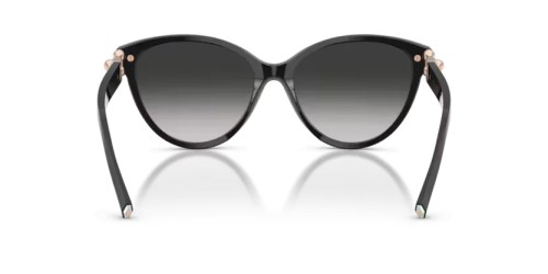 TIFFANY & CO. - Sonnenbrillen - TF4261 - 80013C - 56