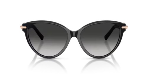 TIFFANY & CO. - Sonnenbrillen - TF4261 - 80013C - 56