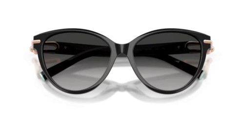 TIFFANY & CO. - Sonnenbrillen - TF4261 - 80013C - 56