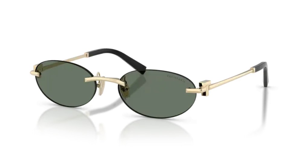 TIFFANY & CO. - Sonnenbrillen - TF3119D - 623882 - 56