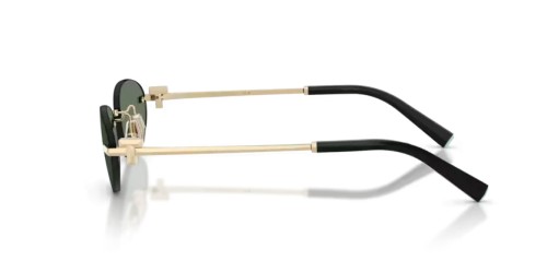TIFFANY & CO. - Sonnenbrillen - TF3119D - 623882 - 56