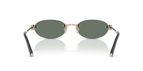 TIFFANY & CO. - Sonnenbrillen - TF3119D - 623882 - 56