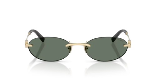 TIFFANY & CO. - Sonnenbrillen - TF3119D - 623882 - 56