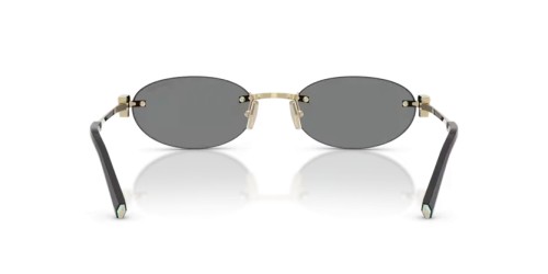 TIFFANY & CO. - Napszemüvegek - TF3119D - 602187 - 56