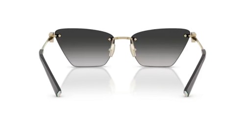 TIFFANY & CO. - Sonnenbrillen - TF3120 - 62413C - 61