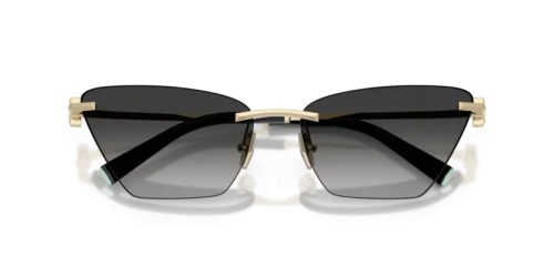TIFFANY & CO. - Sonnenbrillen - TF3120 - 62413C - 61