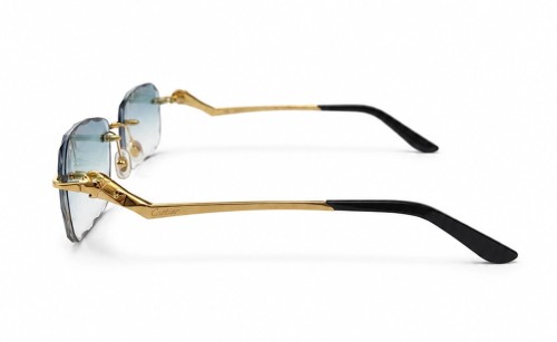 Cartier - Sončna očala - CT0120O With Custom Lens - 001 - 57 - Z SOCZEWKAMI FOTOCHROMOWYMI