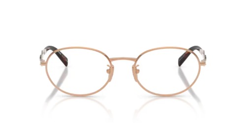 PRADA - Brillenfassungen - PR D53VD - 22L1O1 - 54