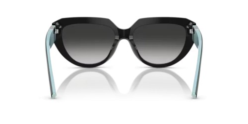 TIFFANY & CO. - Napszemüvegek - TF4238U - 84653C - 55
