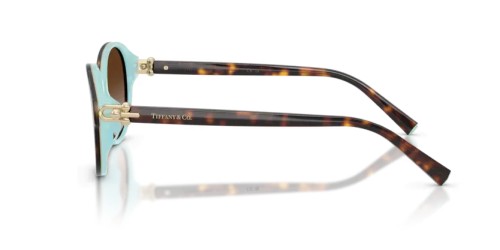 TIFFANY & CO. - Sonnenbrillen - TF4263D - 81343B - 54