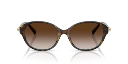 TIFFANY & CO. - Sonnenbrillen - TF4263D - 81343B - 54