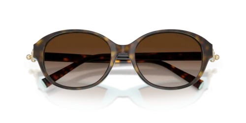 TIFFANY & CO. - Sonnenbrillen - TF4263D - 81343B - 54