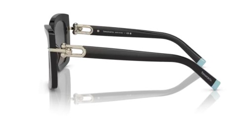 TIFFANY & CO. - Napszemüvegek - TF4199 - 8001S4 - 53
