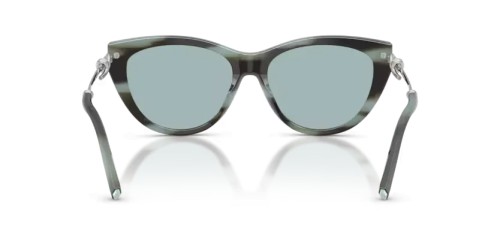 TIFFANY & CO. - Sonnenbrillen - TF4253 - 84437C - 55