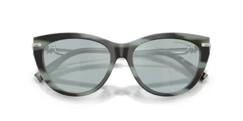 TIFFANY & CO. - Sonnenbrillen - TF4253 - 84437C - 55