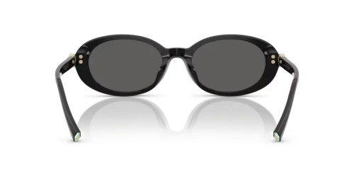 TIFFANY & CO. - Sončna očala - TF4242D - 8361S4 - 54