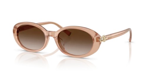 TIFFANY & CO. - Sonnenbrillen - TF4242D - 82683B - 54