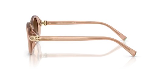 TIFFANY & CO. - Sonnenbrillen - TF4242D - 82683B - 54