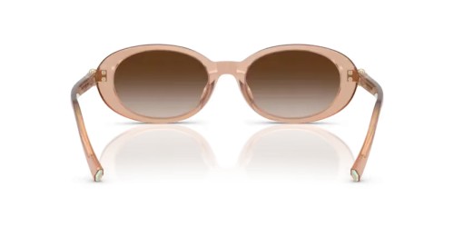 TIFFANY & CO. - Sonnenbrillen - TF4242D - 82683B - 54