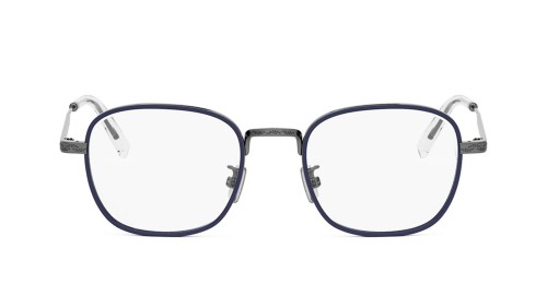 Dior - Brillenfassungen - DIORBOTANICAO S3U - H700 - 49